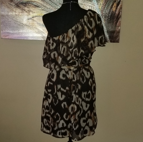 Leopard Print Dress - Picture 2 of 4